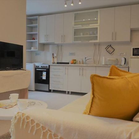 Spacious 2-Bedroom Apartment With Luxury Feel โนวีซาด ภายนอก รูปภาพ